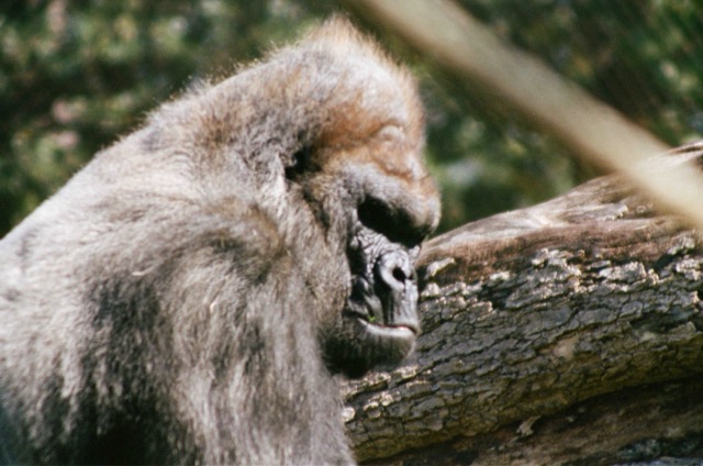 photo 002