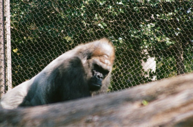 photo 003