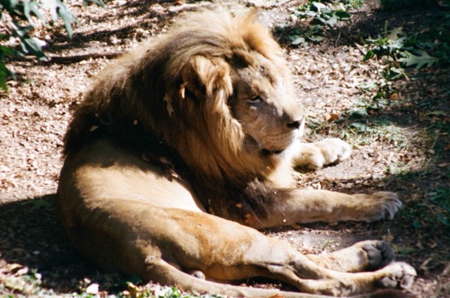 photo 006