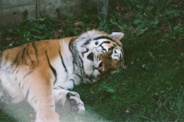 photo 009