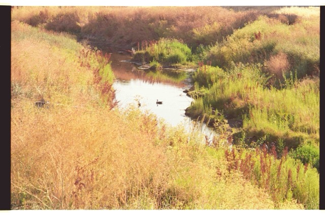 photo 019