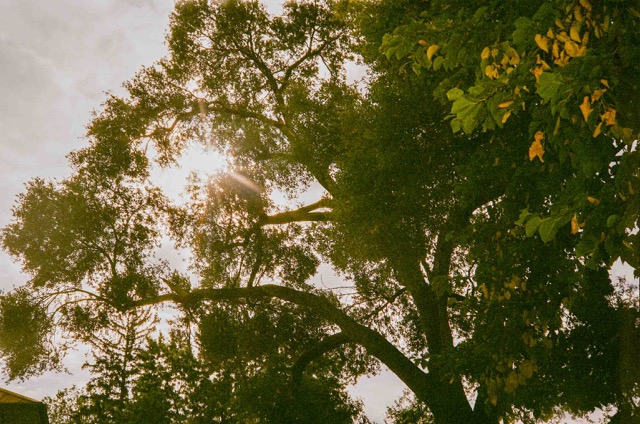 photo 050