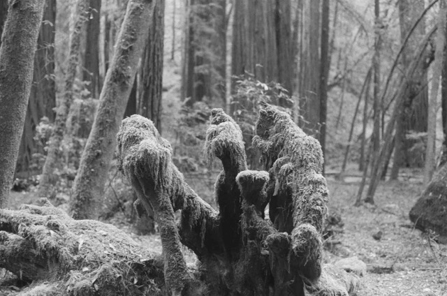 photo 053