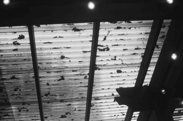 photo 059