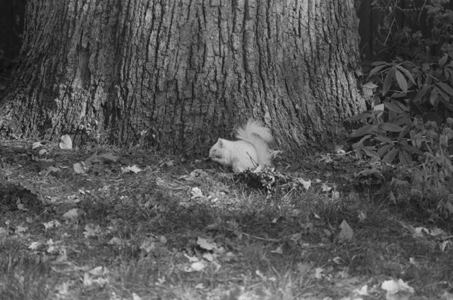 photo 065