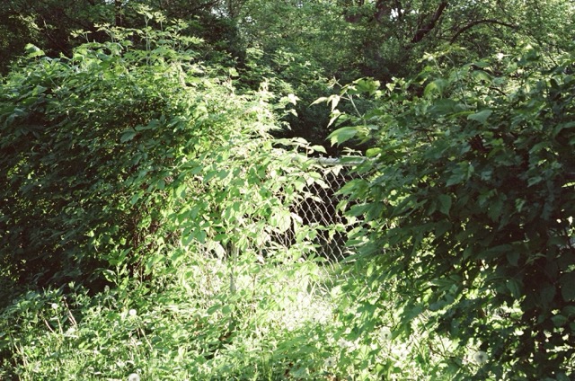 photo 200