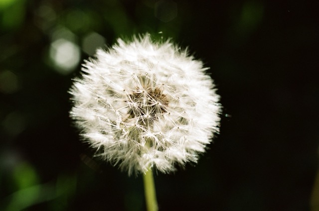 photo 201