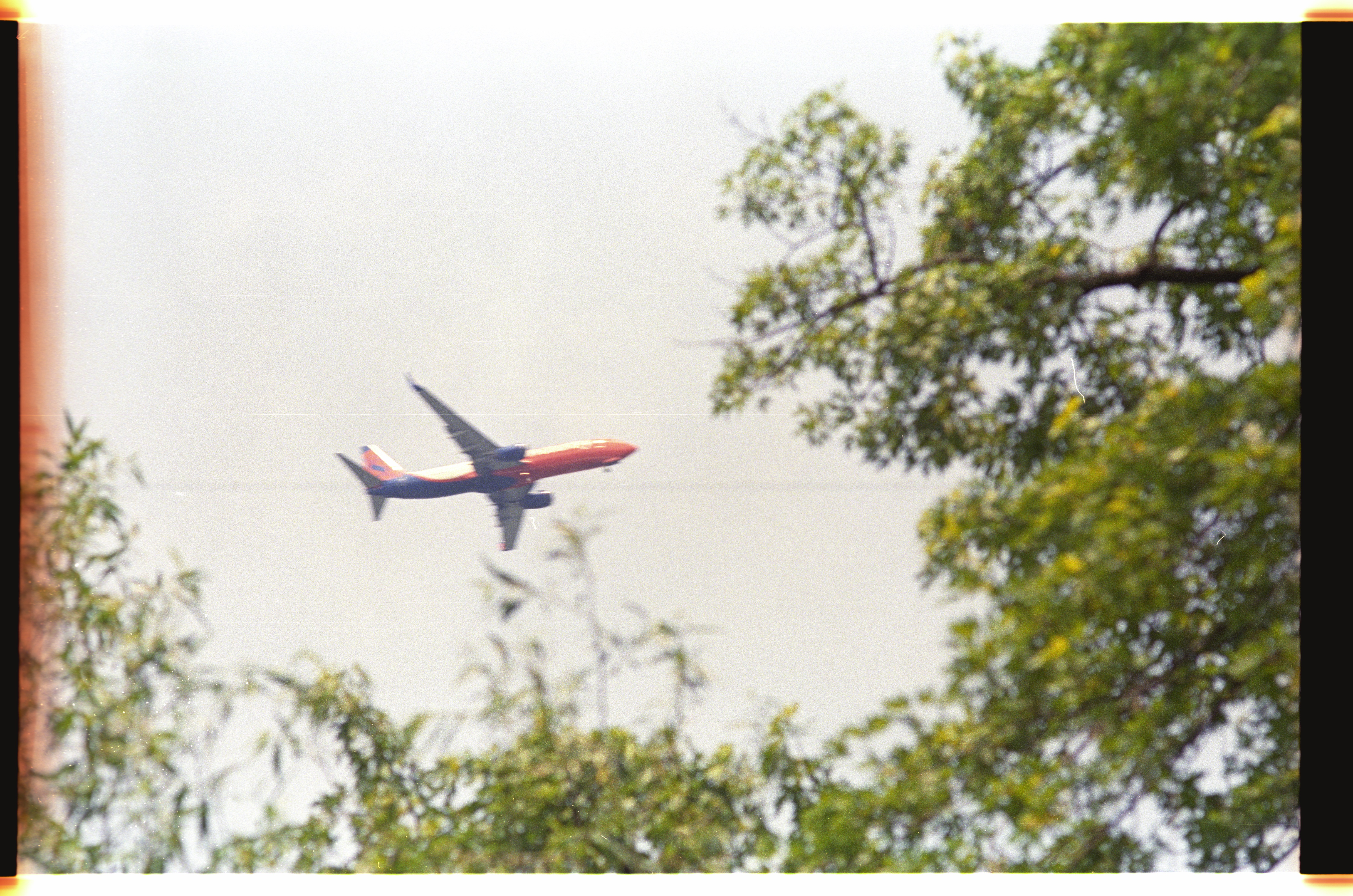 photo 214