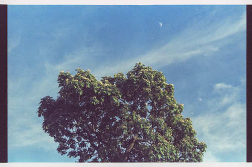 photo 333