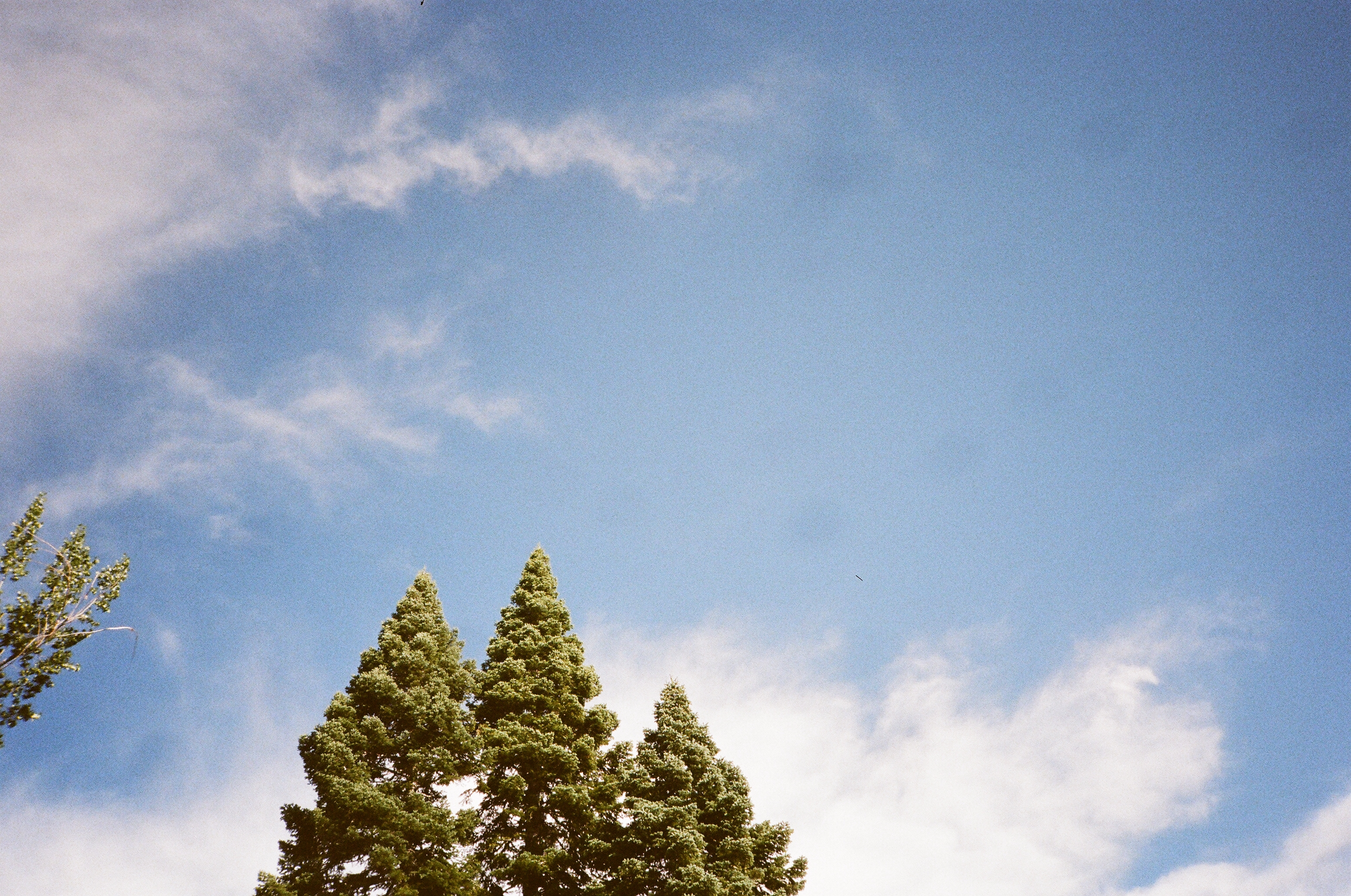 photo 375