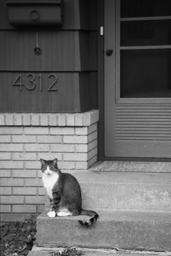 photo 401